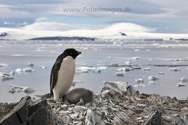 Devil Island_MG_1021