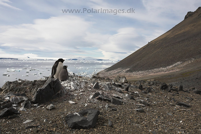 Devil Island_MG_1028