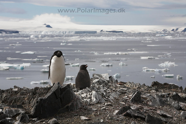 Devil Island_MG_1033