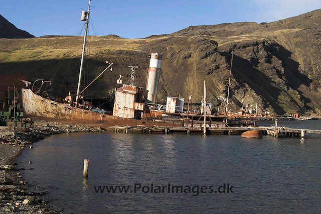 Grytviken PICT6940