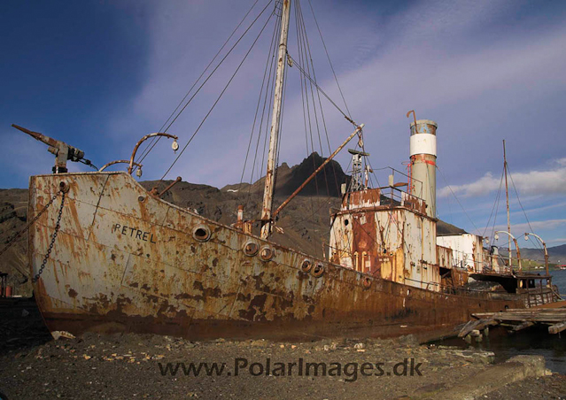 Grytviken PICT6942