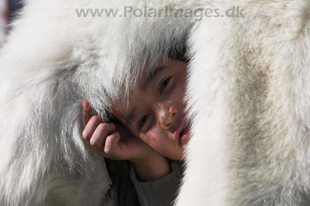 Lichtenau, SW Greenland_MG_4520