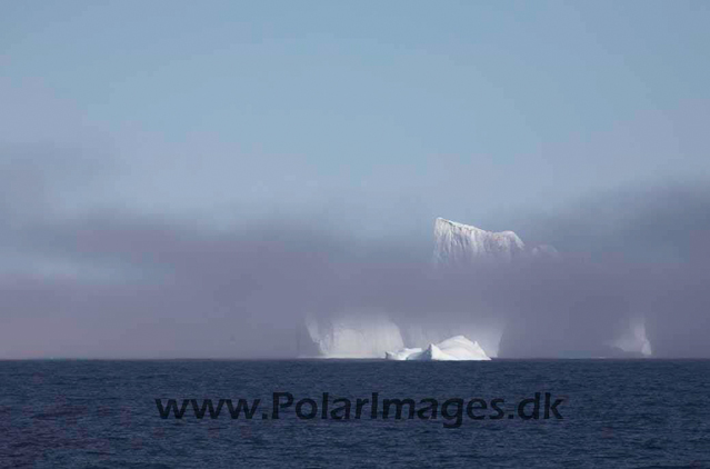 Iceberg off East Greenland_MG_4334