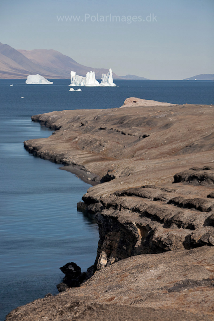 Maria Ø, southern Antarctic Sund_MG_7074