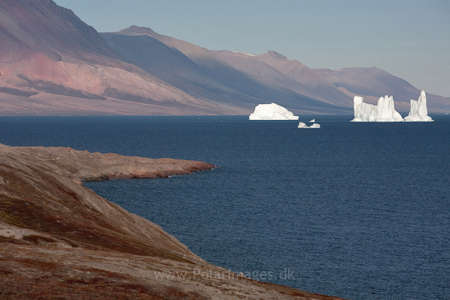 Maria Ø, southern Antarctic Sund_MG_7096