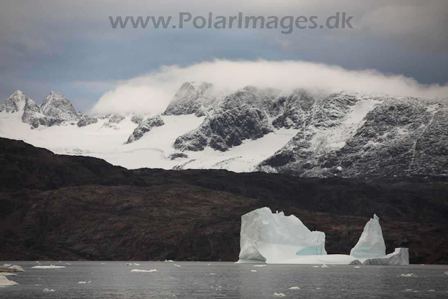 Sermilik Fjord, East Greenland_MG_5432