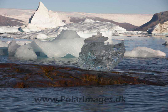 Sermilik Fjord, East Greenland_MG_5457