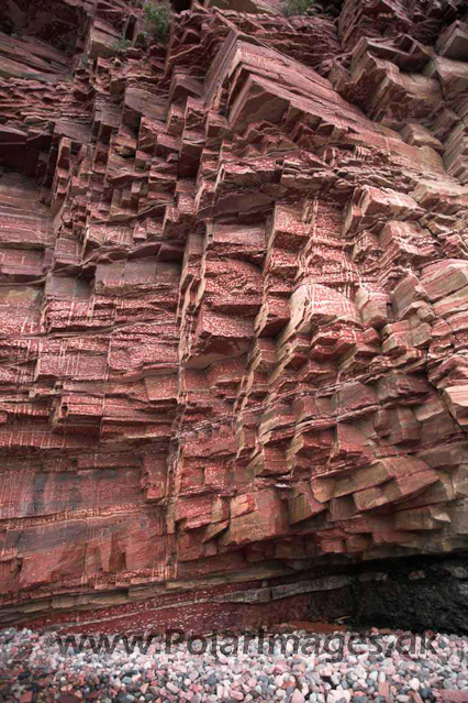 Sitlisit, Igaliko sandstone, SW Greenland_MG_4672