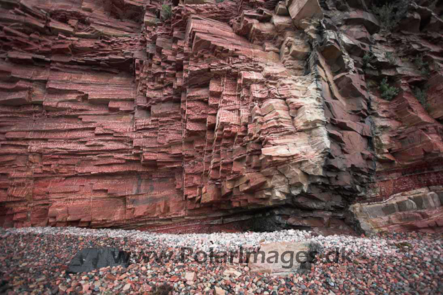 Sitlisit, Igaliko sandstone, SW Greenland_MG_4675