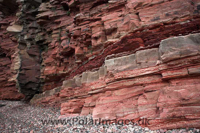 Sitlisit, Igaliko sandstone, SW Greenland_MG_4682