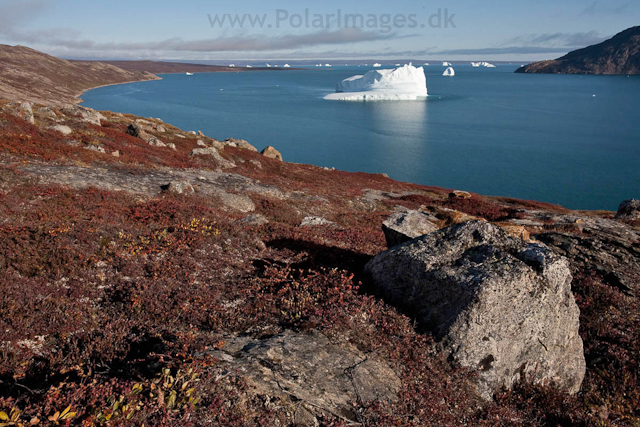 Sydkap, Scoresbysund_MG_9976