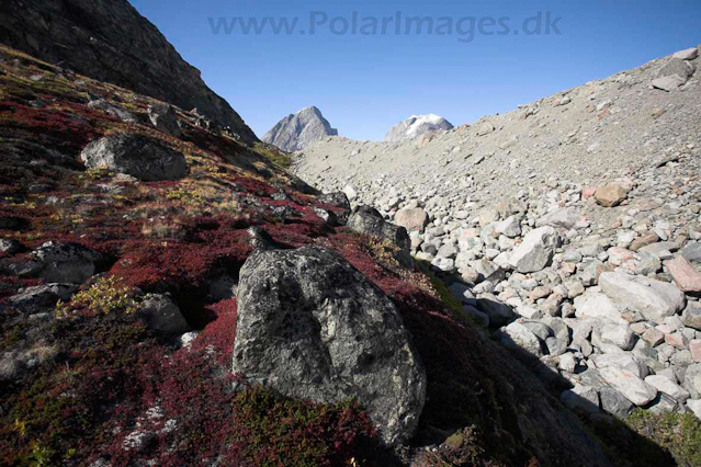 Thryms Glacier, Skjoldungen, SE Greenland_MG_5338