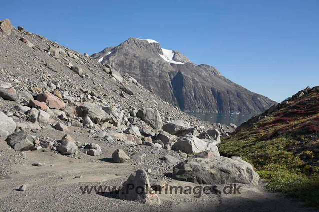 Thryms Glacier, Skjoldungen, SE Greenland_MG_5342