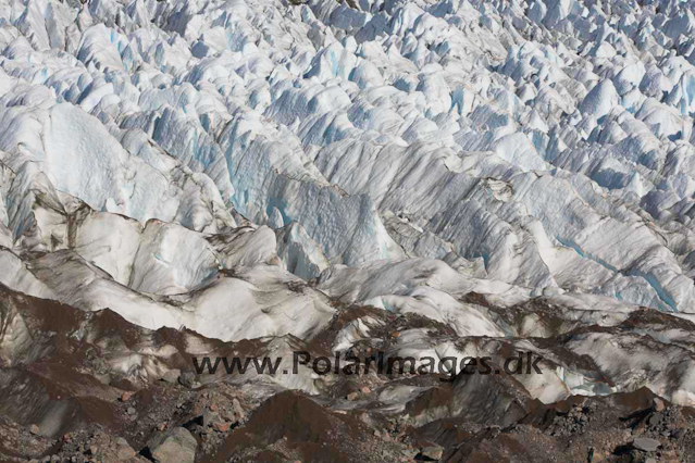 Thryms Glacier, Skjoldungen, SE Greenland_MG_5358