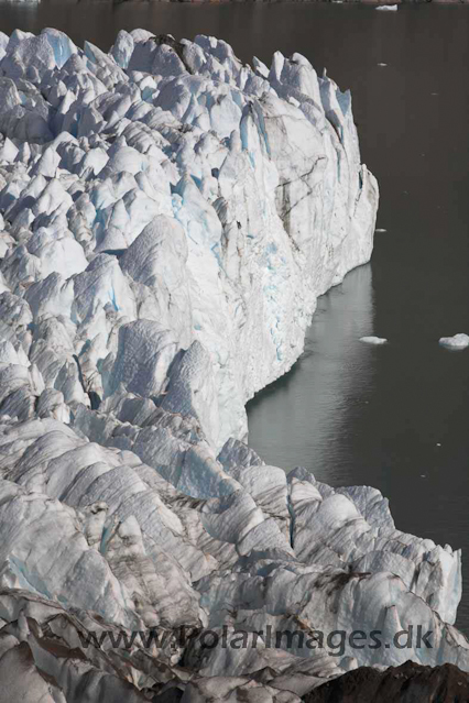 Thryms Glacier, Skjoldungen, SE Greenland_MG_5363