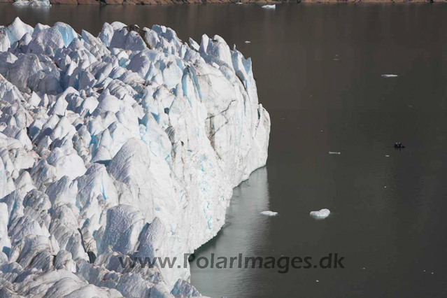 Thryms Glacier, Skjoldungen, SE Greenland_MG_5370