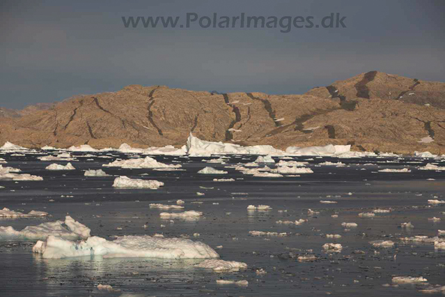 Umivik, SE Greenland_MG_5405