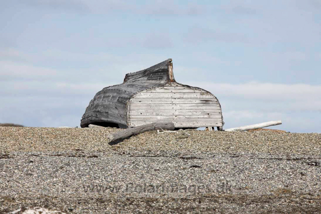 Ahlstrandhalvøya, Bellsund_MG_8873