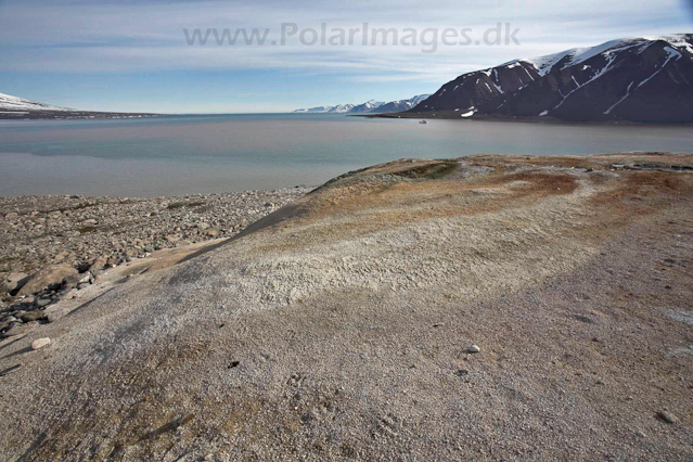 Bock Fjord hotspring_MG_0564