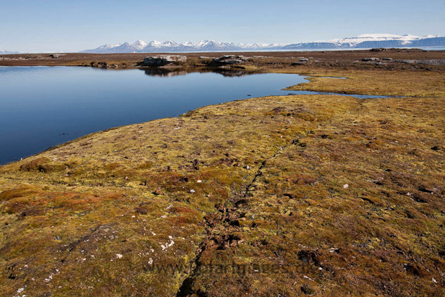 Bohemanneset, Isfjorden_MG_5321