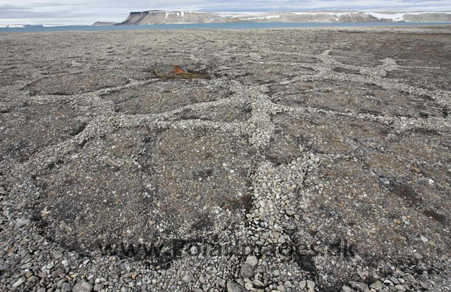 Frost patterned ground, Palanderbukta_MG_1337