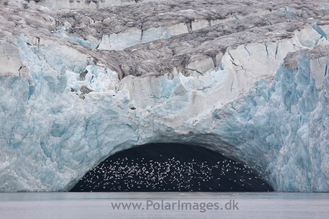 Hornbreen, Hornsund_MG_7589