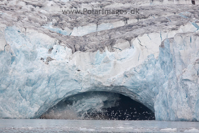 Hornbreen, Hornsund_MG_7611