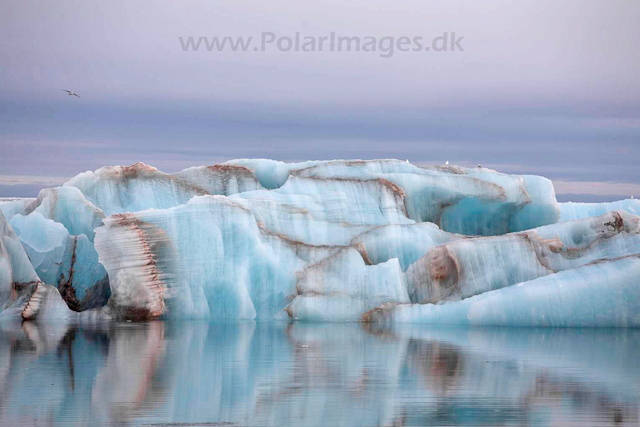 Ice_MG_3038