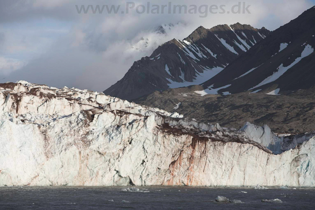 Kongsvegen glacier, Kongsfjord_MG_1933