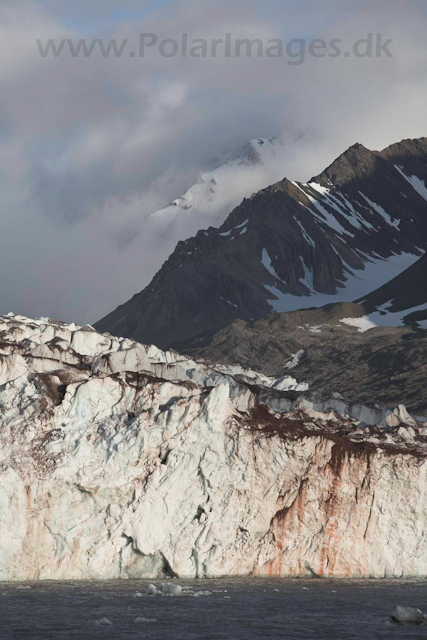 Kongsvegen glacier, Kongsfjord_MG_1936