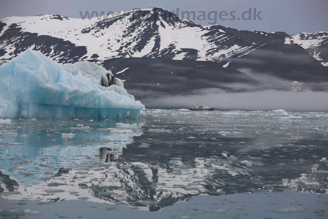 Monacobreen, Liefdefjord_MG_2586