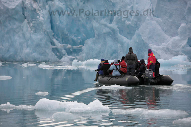 Monacobreen, Liefdefjord_MG_2596