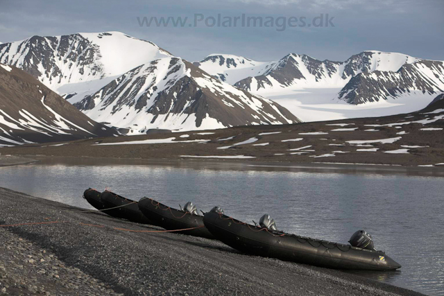 Mushamna, Woodfjord_MG_2739