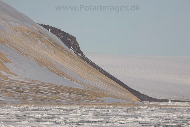 Palanderbukta, Nordaustlandet_MG_1977