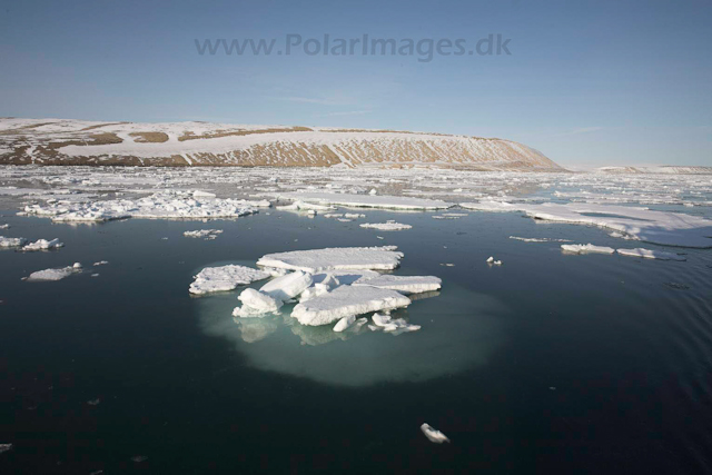 Palanderbukta, Nordaustlandet_MG_1981