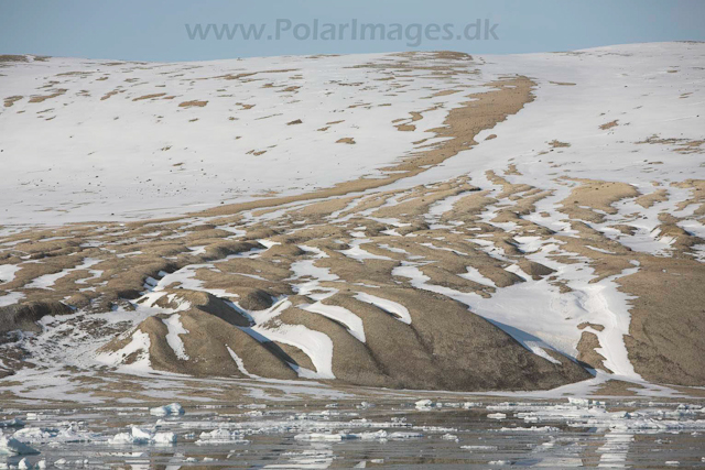 Palanderbukta, Nordaustlandet_MG_1990