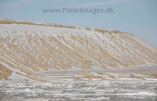 Palanderbukta, Nordaustlandet_MG_1993