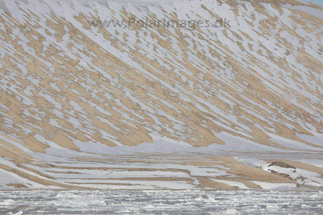 Palanderbukta, Nordaustlandet_MG_1995