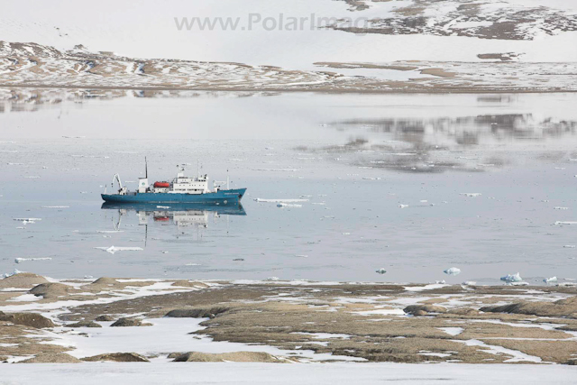 Palanderbukta, Nordaustlandet_MG_2114