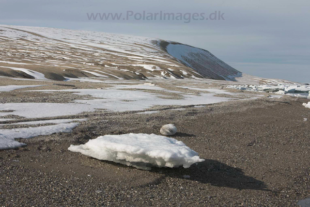 Palanderbukta, Nordaustlandet_MG_2116