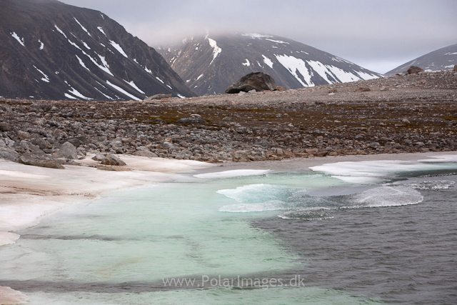 Phippsøya, Seven Islands_MG_5744