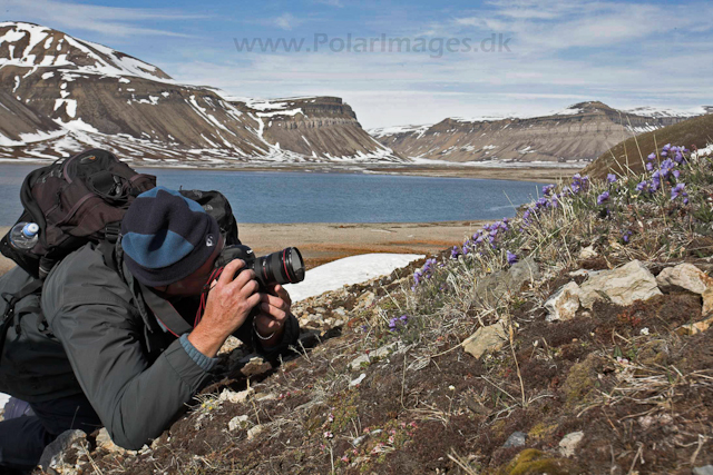 Skansbukta_MG_9534