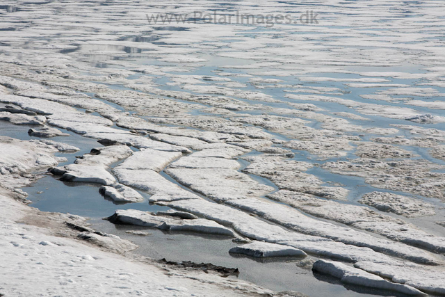 St Jonsfjorden_MG_4115