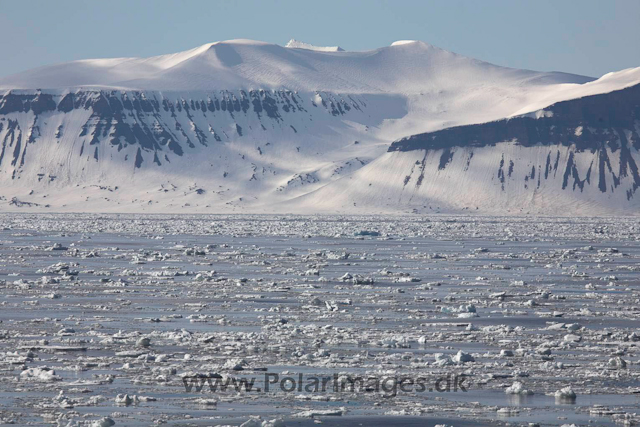 Storfjorden, Svalbard_MG_3689