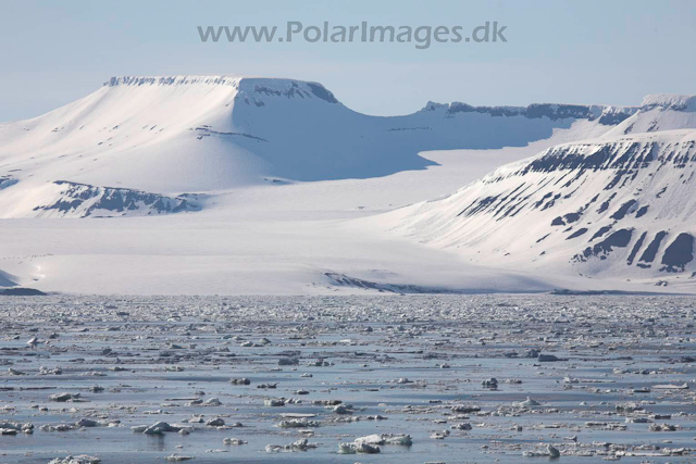 Storfjorden, Svalbard_MG_3690