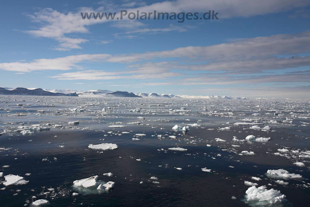 Storfjorden, Svalbard_MG_3697