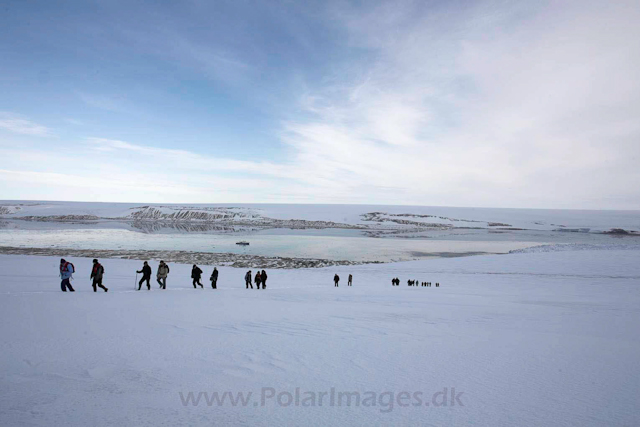 Vegafonna, Palanderbukta_MG_2105