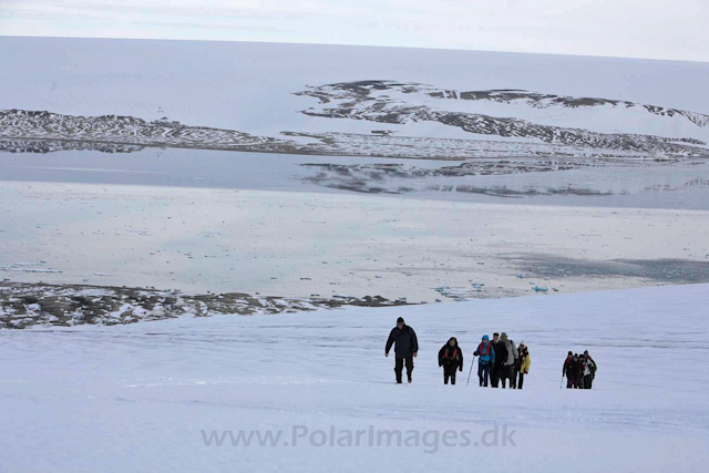 Vegafonna, Palanderbukta_MG_2106