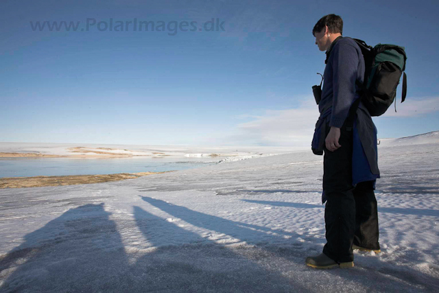 Vegafonna, Palanderbukta_MG_2784