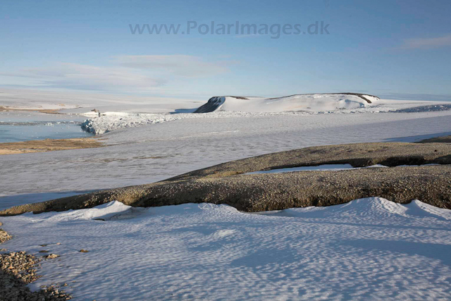 Vegafonna, Palanderbukta_MG_2800